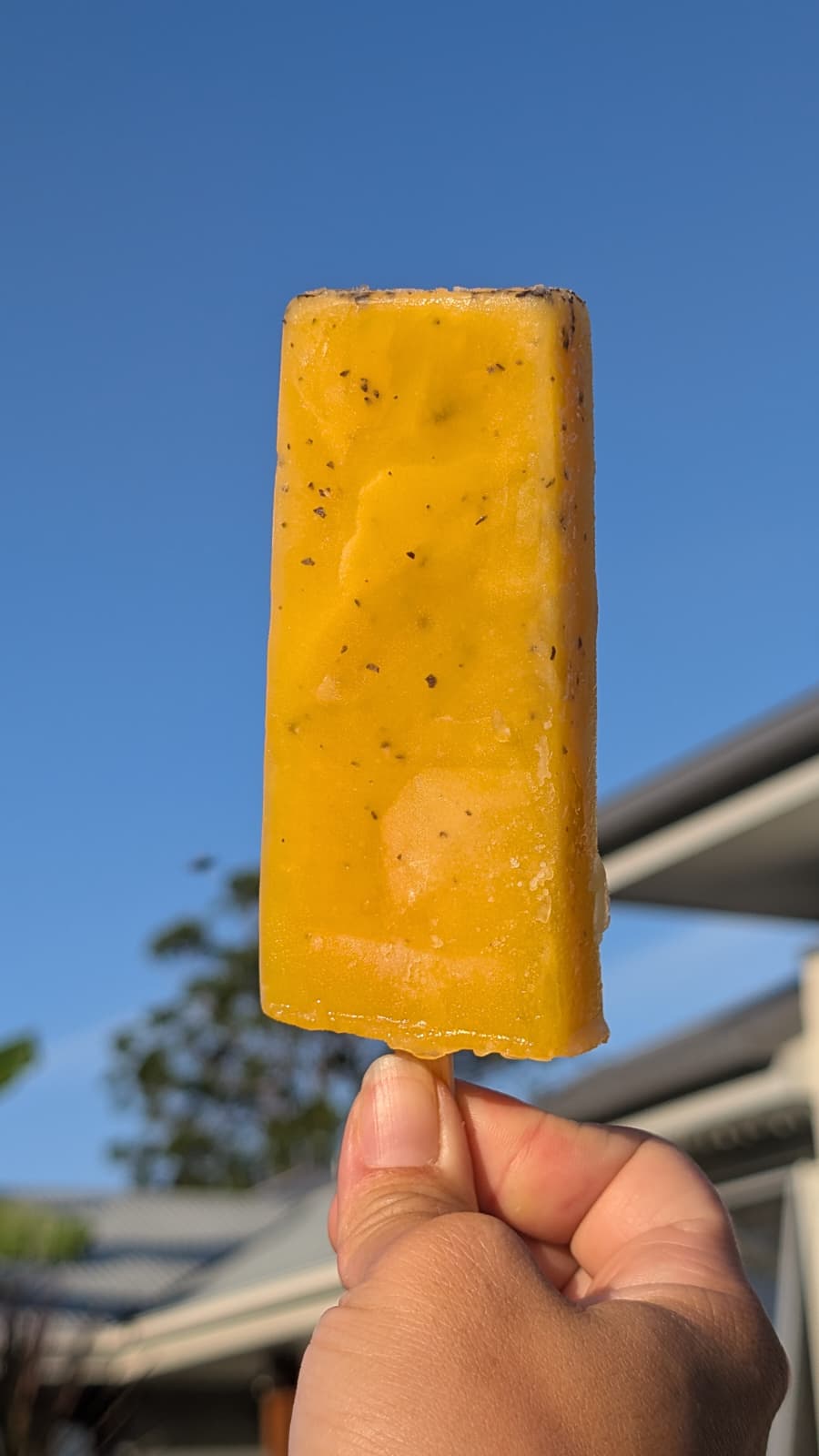 Passion Fruit & Orange